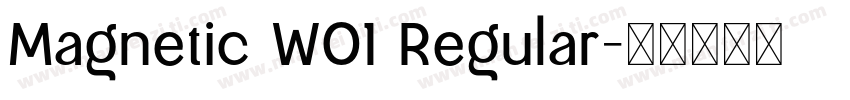 Magnetic W01 Regular字体转换